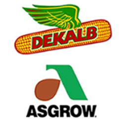 Asgrow